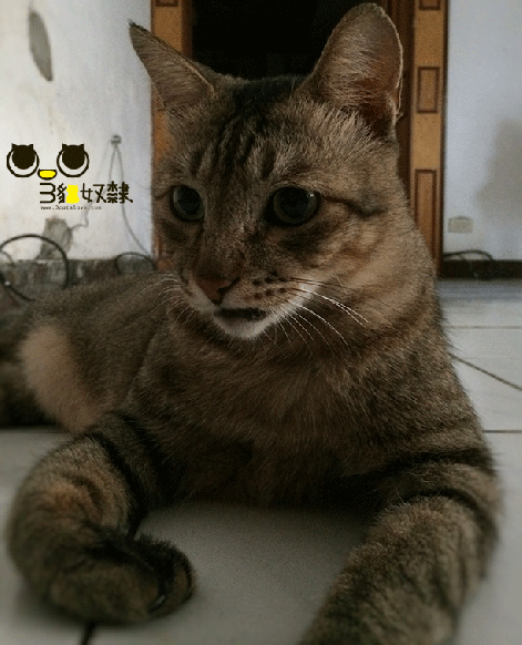 %e5%8d%a1%e9%ad%af%e6%af%94_5