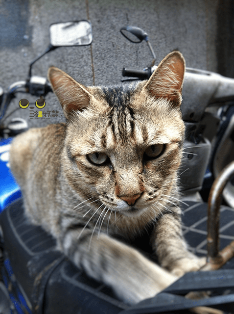 %e5%8d%a1%e9%ad%af%e6%af%94_3