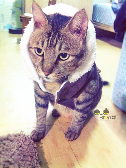 %e5%8d%a1%e9%ad%af%e6%af%94_4