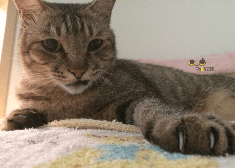 %e5%8d%a1%e9%ad%af%e6%af%94_5